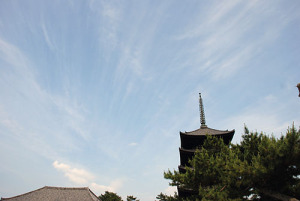 興福寺 興福寺