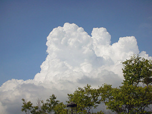 夏雲