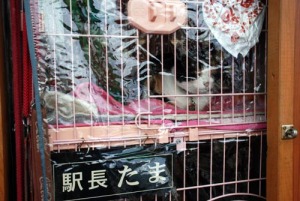 貴志駅