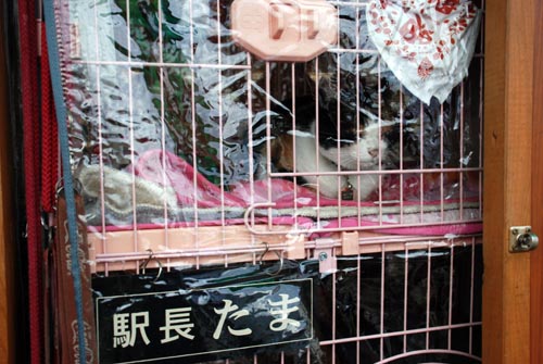 貴志駅
