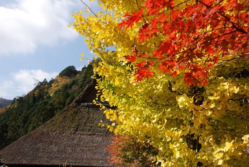 美山