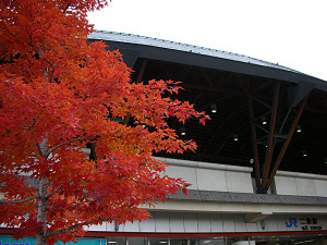 二条駅紅葉