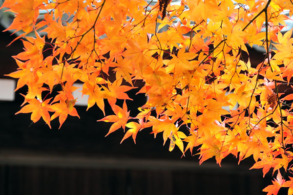 鍬山神社